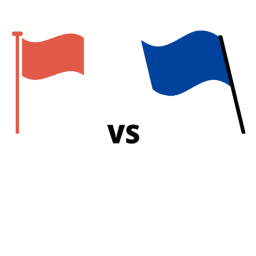CATCH THE FLAG (BETA)