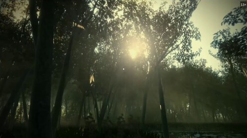 Realistic forest 