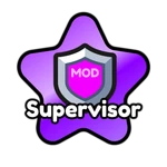 Supervisor
