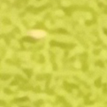 Erabesque Co.