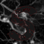 Synapse Inc