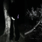 noirful