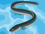 Eel Works