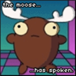Moose Nation