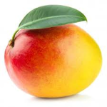 Team Mango's (OFFICIAL)