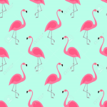 Aesthetics Flamingos
