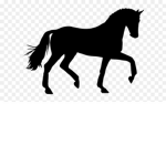*Spirit Stables*