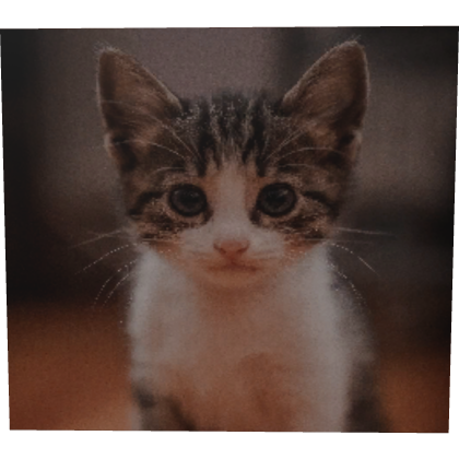 Inca Cat Profile Picture thumbnail