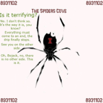 The Spiders Cove