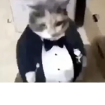 my suit and tie