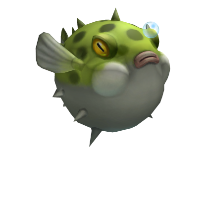 Puffy Puffer Fish