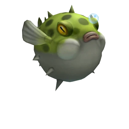 Puffy Puffer Fish