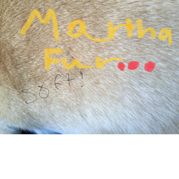 Martha’s fur (Simulator)