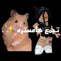 تجمع هامستره ✨.