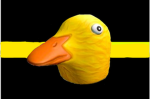 The Duck Division
