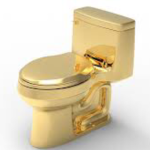gold toilet