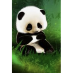 Panda# group