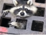 xD idk why????