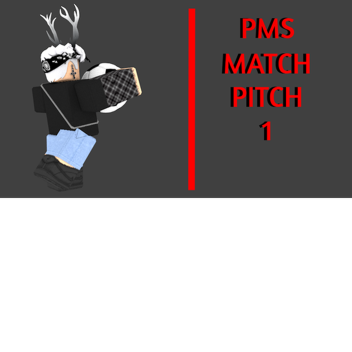 PMS MATCH PITCH 1