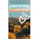 Aestheticsss <3
