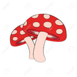 The Mushy Mushroom Fam ~