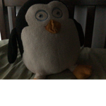 Pengwy for president