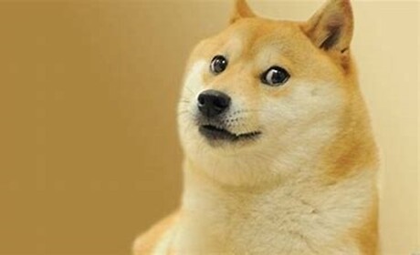 Doge afk Donation Game and you get Rich