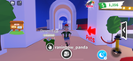 shadow_shadow