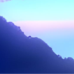 𝘚𝘦𝘦𝘬