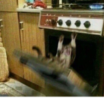 ꜰʀ4ᴜᴅꜱ ʜᴏᴜꜱᴇ