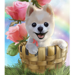 Animal Puppy Nation