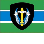 Glider infantry