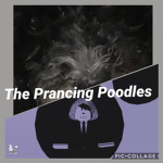 The Prancing Poodles