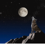 The wolves (by Issy)
