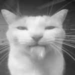 ~ωιℓ∂ ∂єѕтιиу~