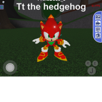 TT the hedgehog the official group
