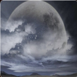 The moonlightstars