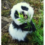 Baby Pandas Group!