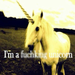 unicorn land