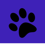Night Wolves Gymnastics & Cheer