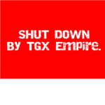 Roblox Support Program