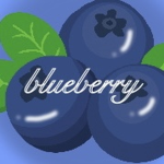 MyBlueBerrys!