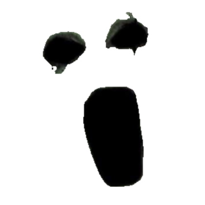 scary screaming face Roblox decal