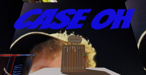 Save Case Oh Obby