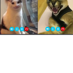 Beluga and hecker team lol