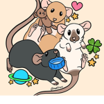 The bootiful rat family!
