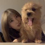 Alexa GachaYT