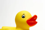 DUCKDEVSTUDIOS
