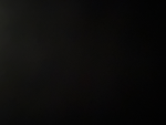 Texas state rp neww
