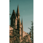 .+*DUMBLEDORE’S ARMY*+.